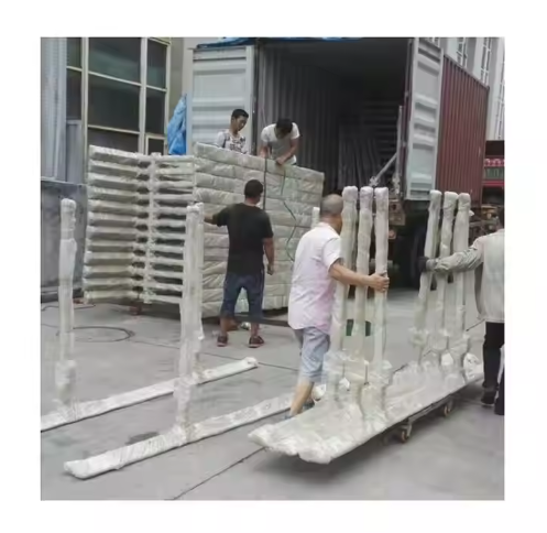 Raca taispeána leac